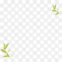 植被-空若网 植被-空若网