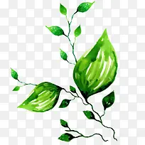 Ë®²ÊÂÌÒ¶-¿ÕÈôÍø Ë®²ÊÂÌÒ¶-¿ÕÈôÍø