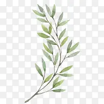 �ֻ�ֲ��-������