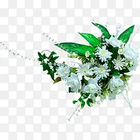 白色小花-空若网 白色小花-空若网