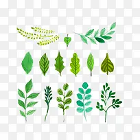 Ҷ���ֻ�-������