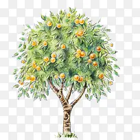 �����ֻ�-������