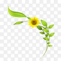 卡通手绘向日葵-空若网 卡通手绘向日葵-空若网