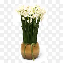 ��ɫ�Ļ�-������