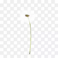 ֲ�ﾥ����ֲ���ѹ�Ӣ-������