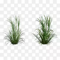 ���Ͳݼ�����-��-������