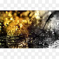 黄色夜晚树枝灯光-空若网 黄色夜晚树枝灯光-空若网