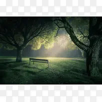 植物草地绿树灯光-空若网 植物草地绿树灯光-空若网