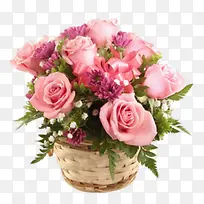 �ۺ�ɫ�¼���-������