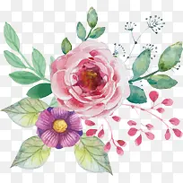 水彩粉色山茶花束-空若网 水彩粉色山茶花束-空若网