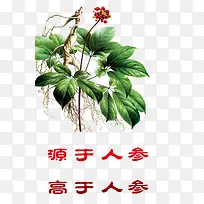 �˲β�Ʒʵ��-������