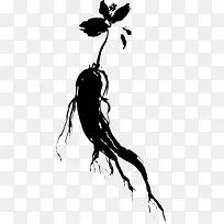 人参剪影-空若网 人参剪影-空若网