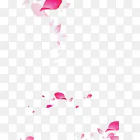 粉红色花瓣淡白色花瓣-空若网 粉红色花瓣淡白色花瓣-空若网