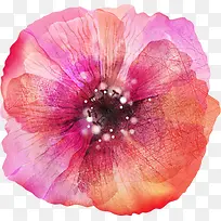 �ۺ�ɫˮ�ʻ���װ��-������