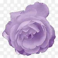 水彩粉红色花朵-空若网 水彩粉红色花朵-空若网