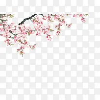 ������Ӱ����ۺ�ɫ���һ�-������