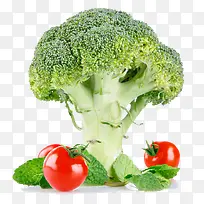 蔬菜素材-空若网 蔬菜素材-空若网