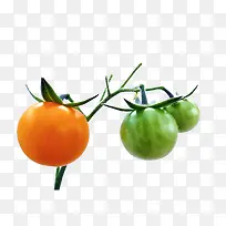 ��Ʒʵ���߲�ά����Ӫ��������-������