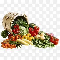 �߲˹�ʵ-������