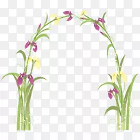 插花艺术.透明花边-空若网 插花艺术.透明花边-空若网