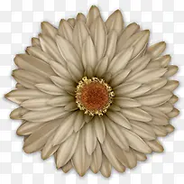 抽象花朵素材唯美-空若网 抽象花朵素材唯美-空若网