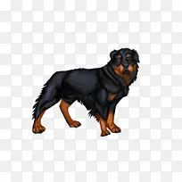 罗威勒脊椎动物犬繁殖鼻子即将到来-空若网 罗威勒脊椎动物犬繁殖鼻子即将到来-空若网