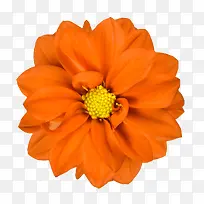 �ʻ��߿��ز��ʻ�����-������