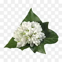 抽象鲜花图片素材抽象花朵素材-空若网 抽象鲜花图片素材抽象花朵素材-空若网