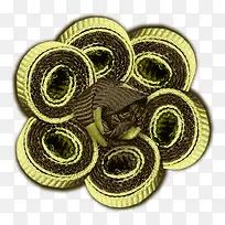 绿植花卉鲜花边框素材-空若网 绿植花卉鲜花边框素材-空若网