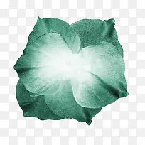 �ʻ��ز�ֲ�ﻨ���ز�-������