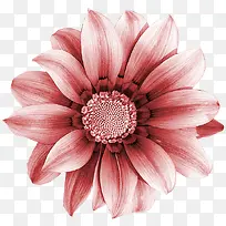 �ֻ滨��ͼƬ�زĻ����ز�-������