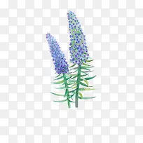 唯美手绘鲜花-空若网 唯美手绘鲜花-空若网