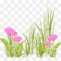 ÂÌɫС²Ý-¿ÕÈôÍø ÂÌɫС²Ý-¿ÕÈôÍø