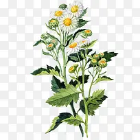 ˮ�ʾջ�-������