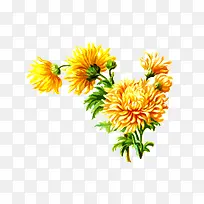 ˮ�ʾջ�-������