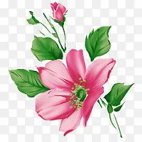 �ֻ�ʻ�-������