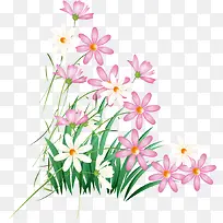 手绘花卉-空若网 手绘花卉-空若网