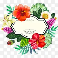 手绘水彩热带花朵边框-空若网 手绘水彩热带花朵边框-空若网