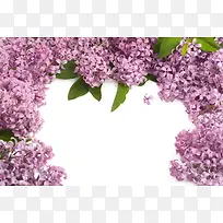 �ʻ��߿򱳾�-������