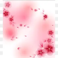 ���Ʊ������-������