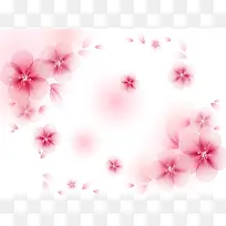 ���Ʊ������-������