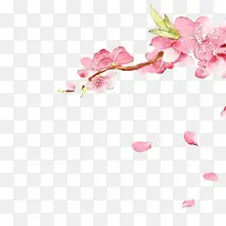 手绘鲜花手绘桃花绿色叶子-空若网 手绘鲜花手绘桃花绿色叶子-空若网