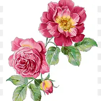 �ֻ�õ�廨-������