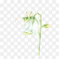 唯美手绘鲜花-空若网 唯美手绘鲜花-空若网