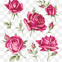 水彩玫瑰-空若网 水彩玫瑰-空若网