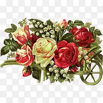 古典鲜花手绘插画-空若网 古典鲜花手绘插画-空若网