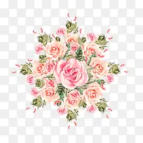 手绘玫瑰鲜花-空若网 手绘玫瑰鲜花-空若网