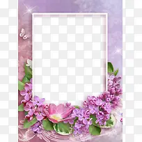 紫色薰衣草相框-空若网 紫色薰衣草相框-空若网