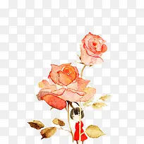 �ֻ滨��-������