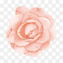 �ֻ滨��-������